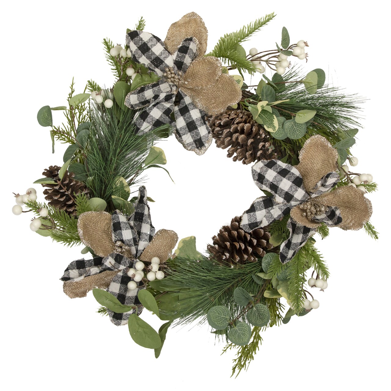 Northlight Magnolia and Frosted Pine Cones Artificial Christmas Wreath - 22-Inch, Unlit